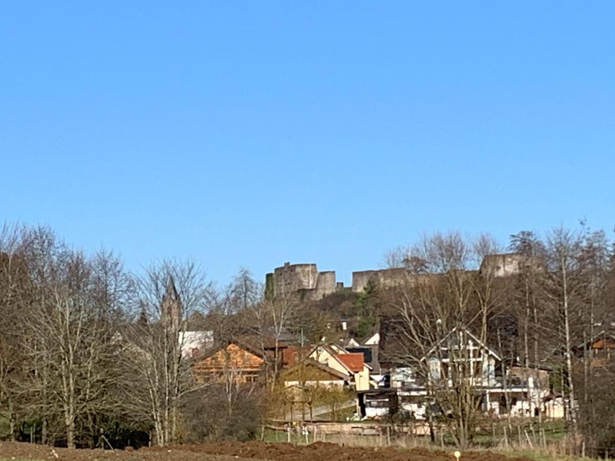 Ferienhaus Eifelstuben Mit Charme - Bauernstube Vulkaneifel - Naehe See Und Burgruine Ulmen Экстерьер фото