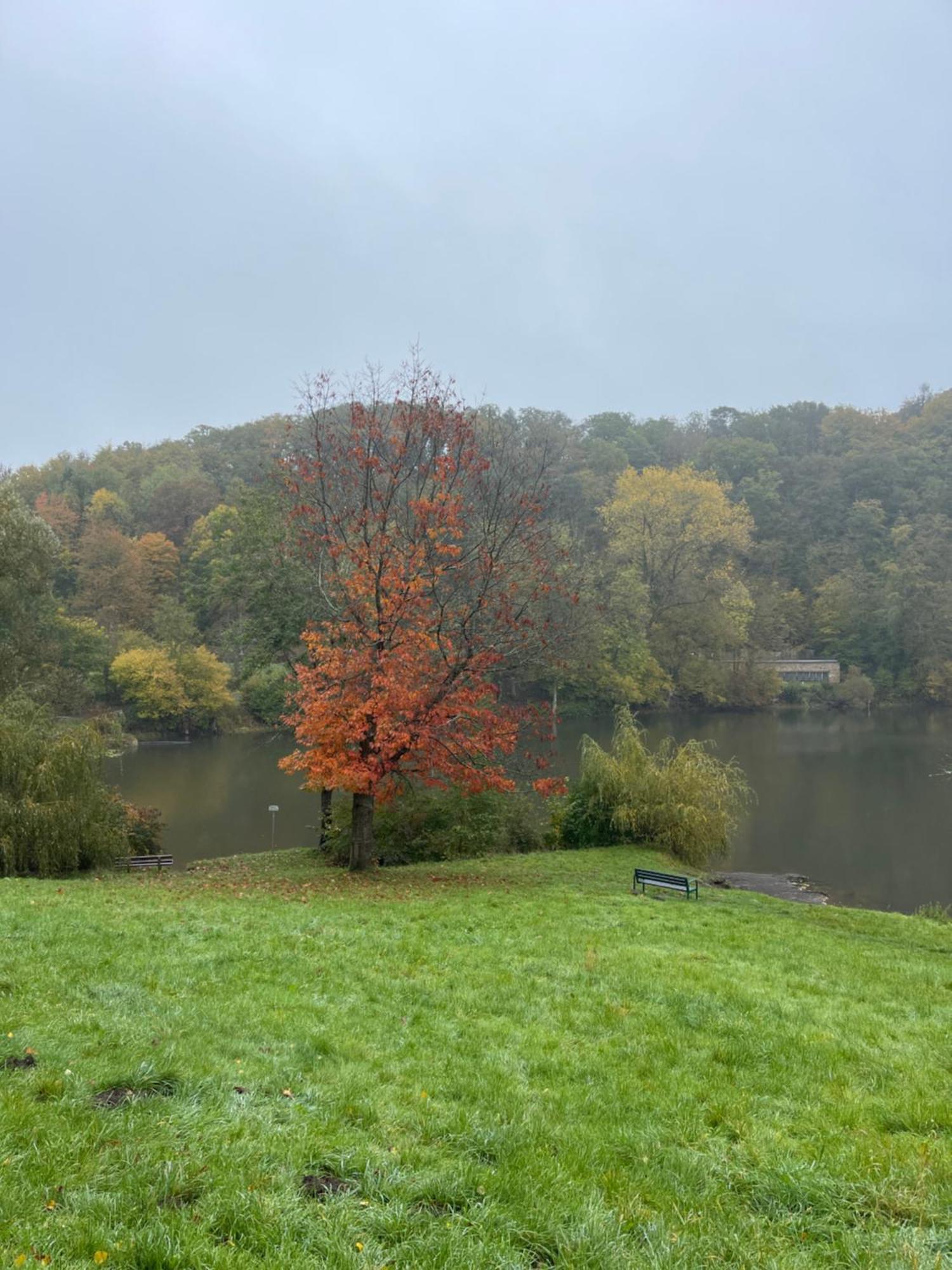 Ferienhaus Eifelstuben Mit Charme - Bauernstube Vulkaneifel - Naehe See Und Burgruine Ulmen Экстерьер фото
