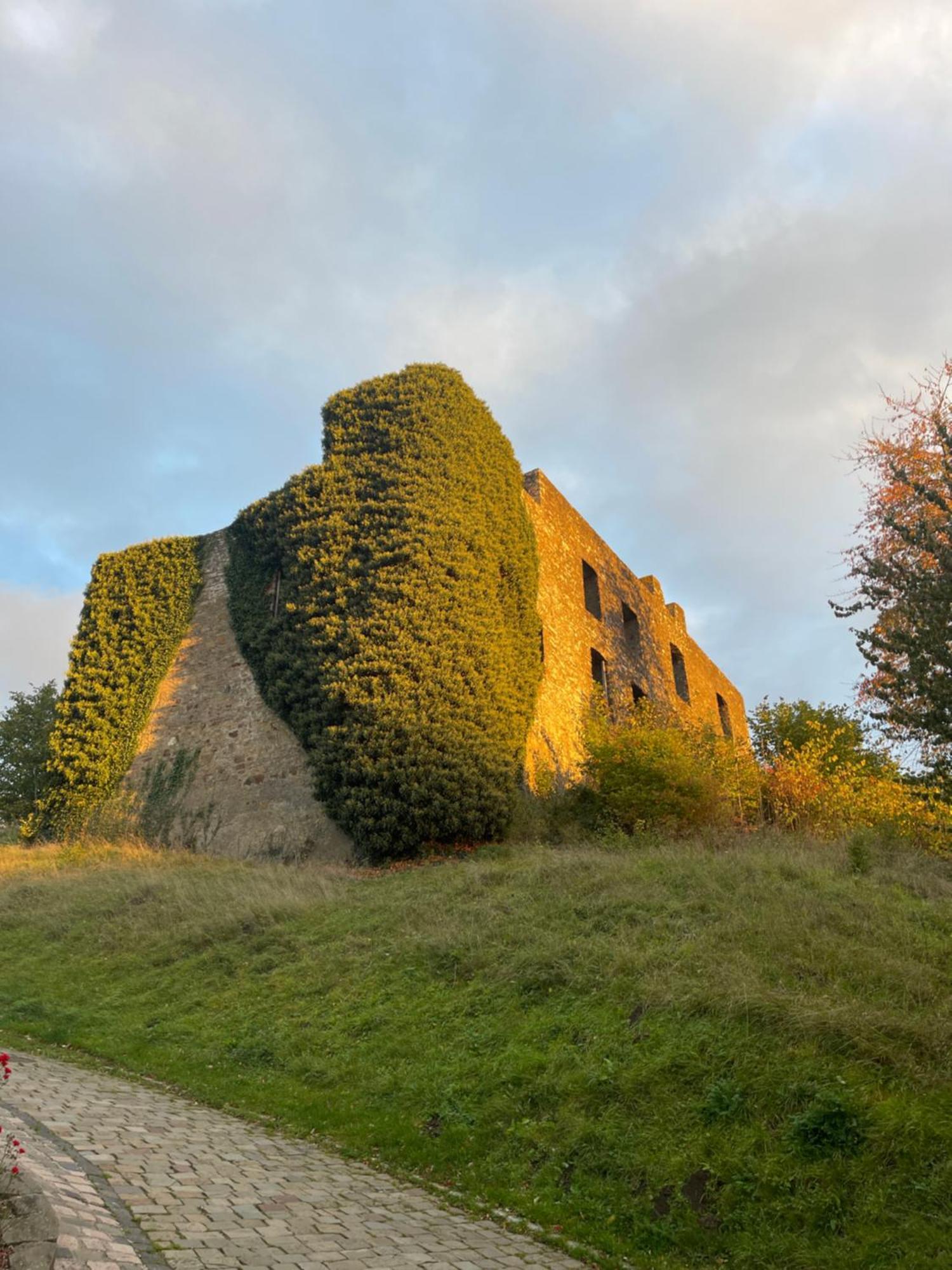 Ferienhaus Eifelstuben Mit Charme - Bauernstube Vulkaneifel - Naehe See Und Burgruine Ulmen Экстерьер фото