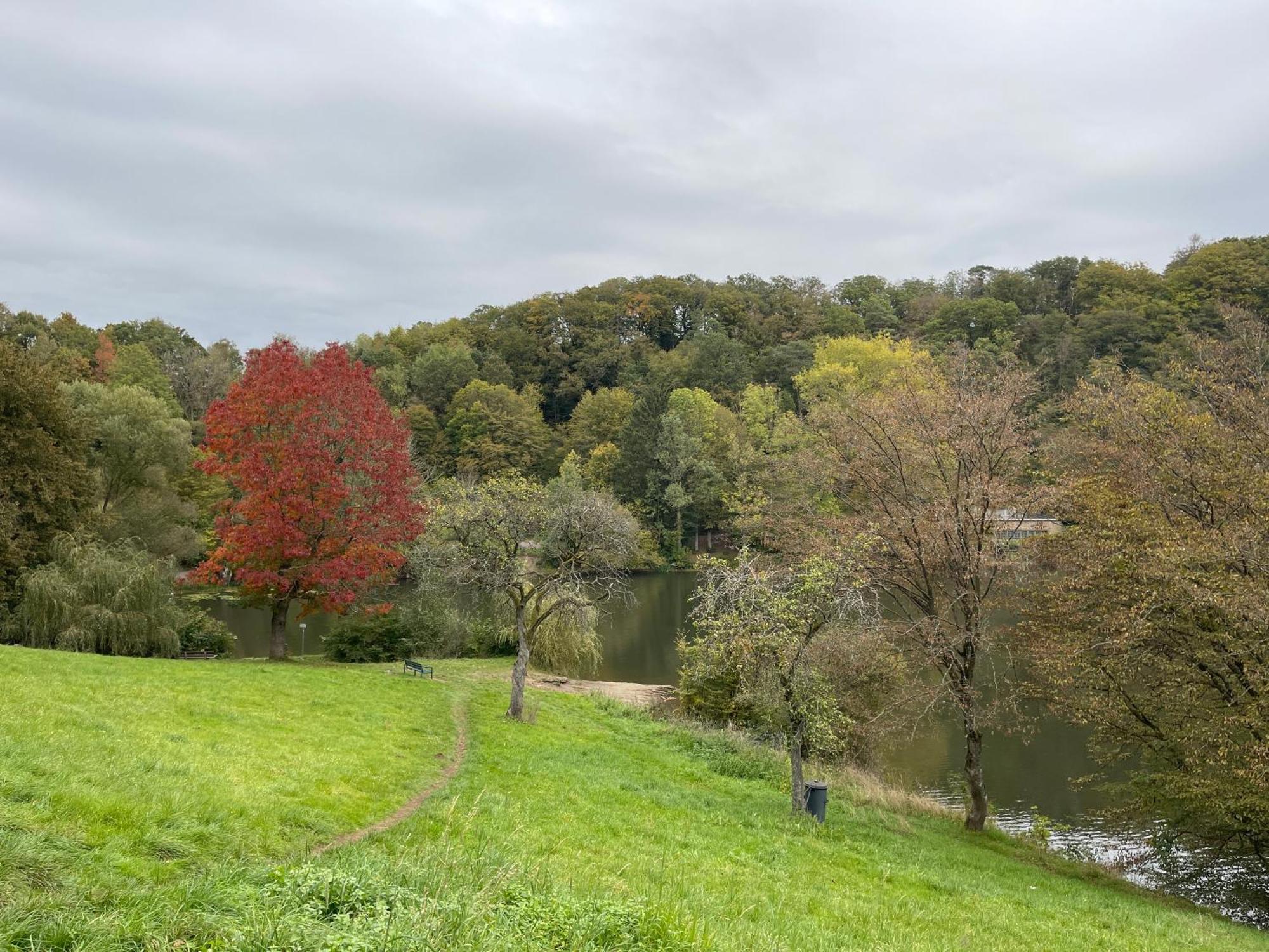 Ferienhaus Eifelstuben Mit Charme - Bauernstube Vulkaneifel - Naehe See Und Burgruine Ulmen Экстерьер фото